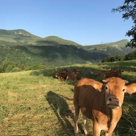 Agreable T2 Bis Avec Wifi Proche Commodites - Fr-1-608-266 * 라루브불